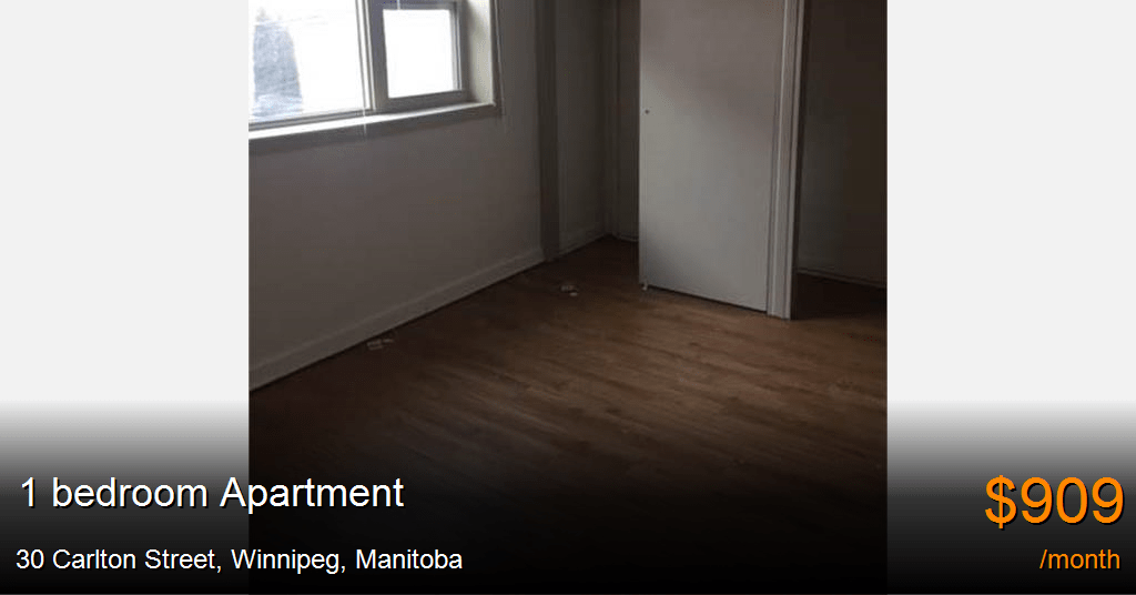 30 Carlton Street, Winnipeg Apartment for Rent
