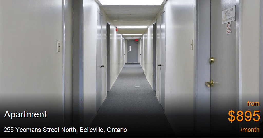 255 yeomans street north, belleville Apartment for Rent