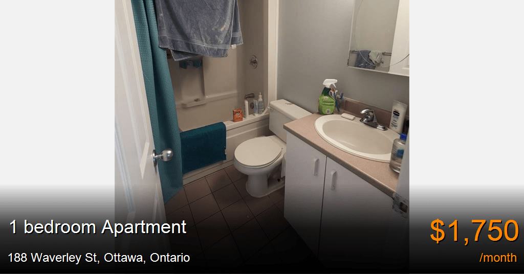 188 waverley st, ottawa Apartment for Rent