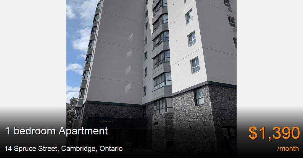 14 spruce street, cambridge Apartment for Rent