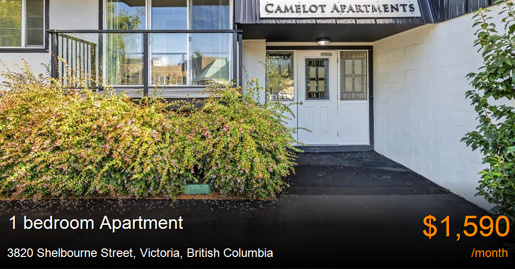 3820 Shelbourne Street, Victoria Apartment for Rent
