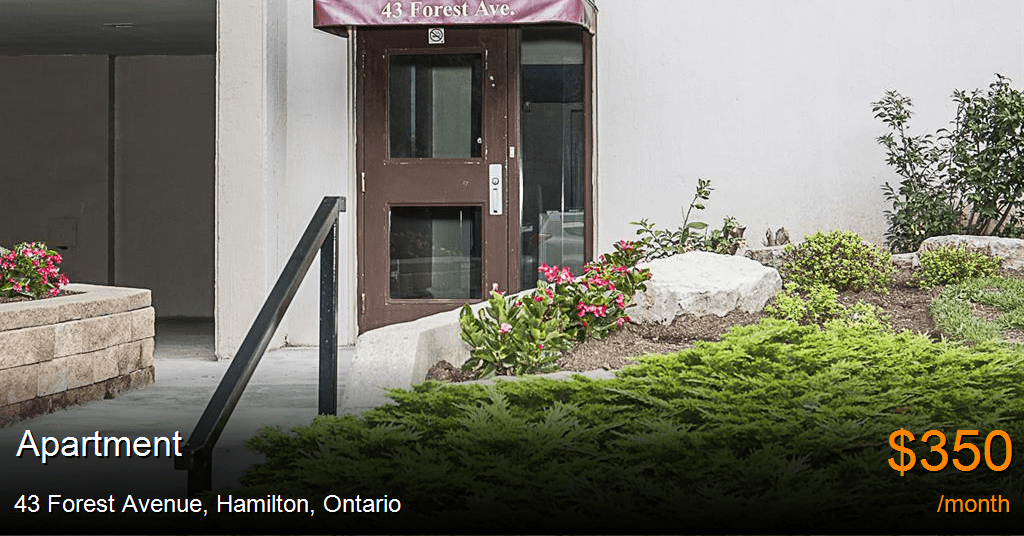 43 Forest Avenue, Hamilton Apartment for Rent B6615