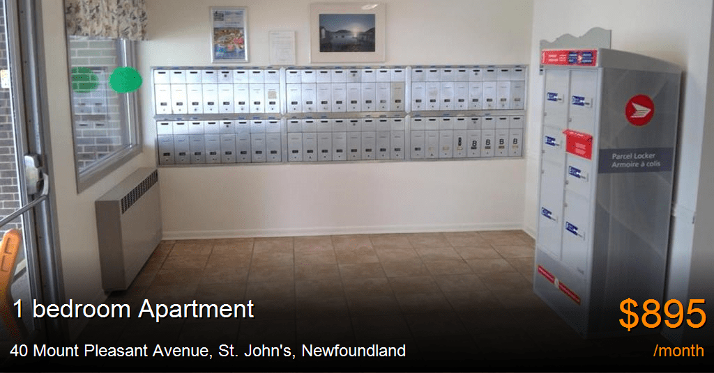 40 Mount Pleasant Avenue, St. John's Apartment for Rent