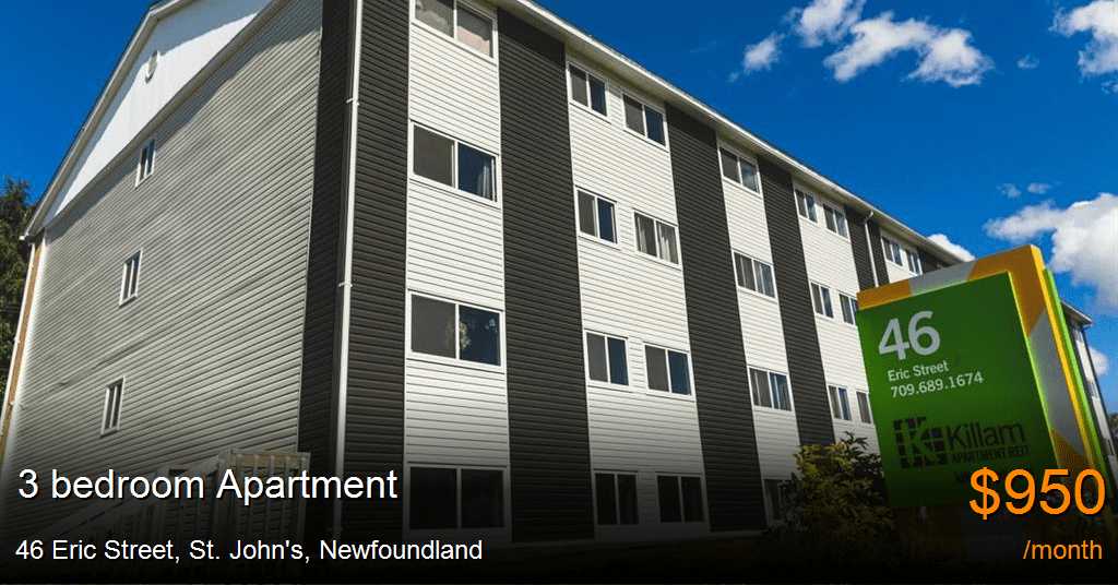 46 Eric Street, St. John's Apartment for Rent