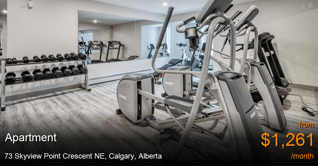 73 Skyview Point Crescent NE, Calgary Apartment for Rent