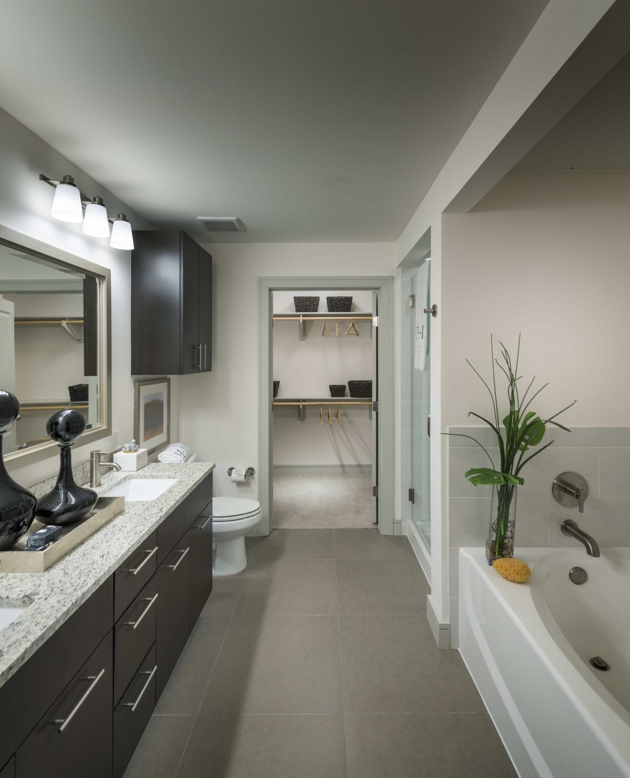 Hanover North Broad Philadelphia Apartment & Condo Rentals Rent Philly