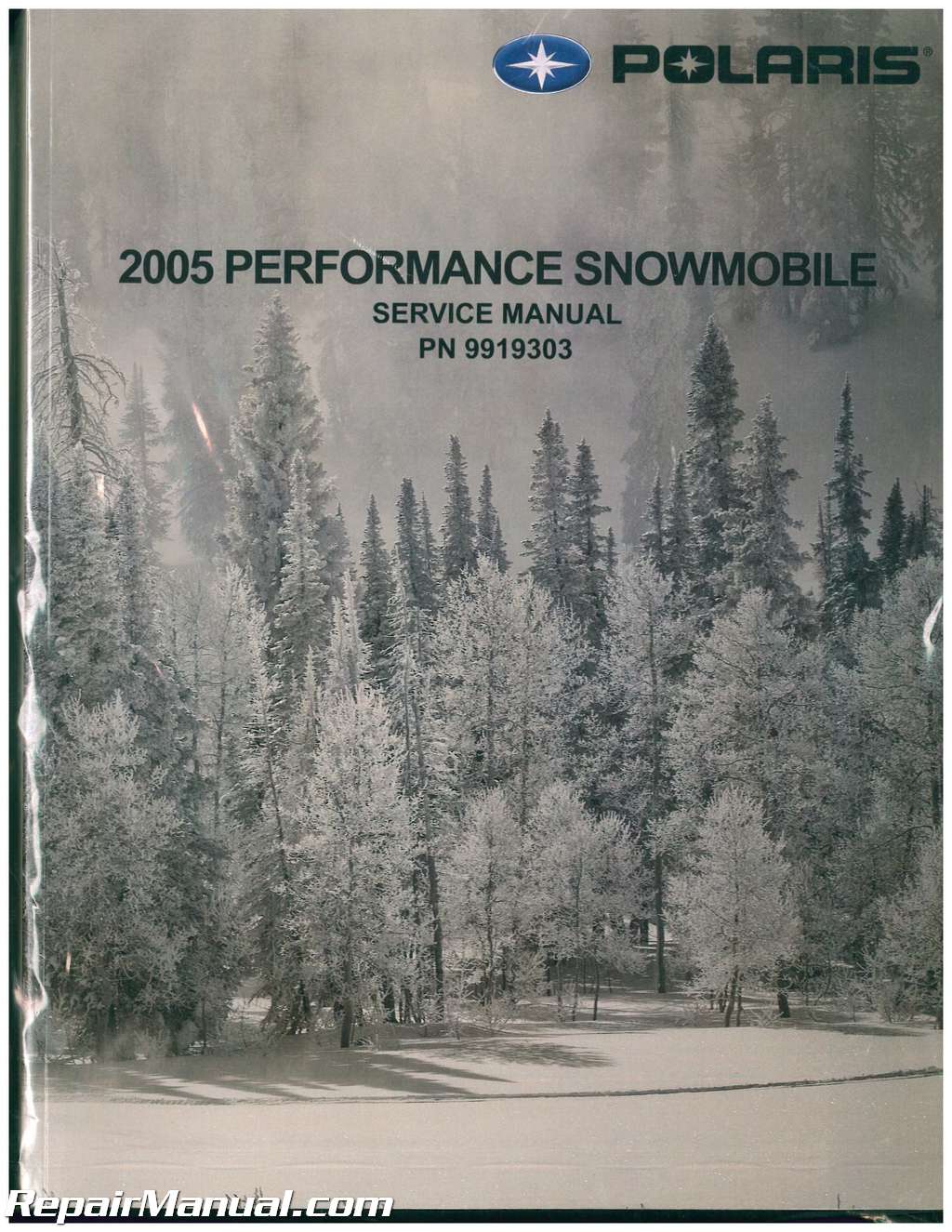 Polaris 2005 Fusion 900 Manuals & User Guides