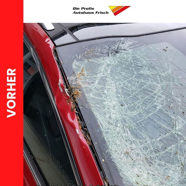 Frontscheibe wechseln Kosten, Dauer, Versicherung