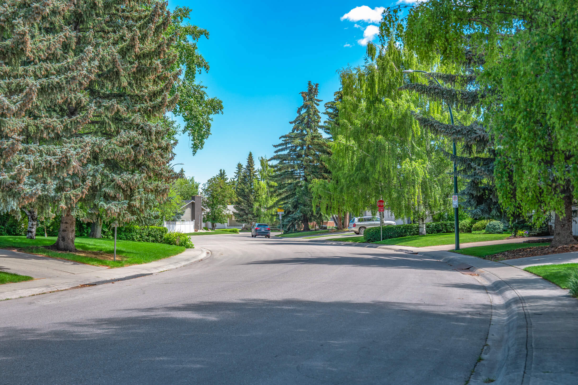 Kingsland Homes for Sale Calgary