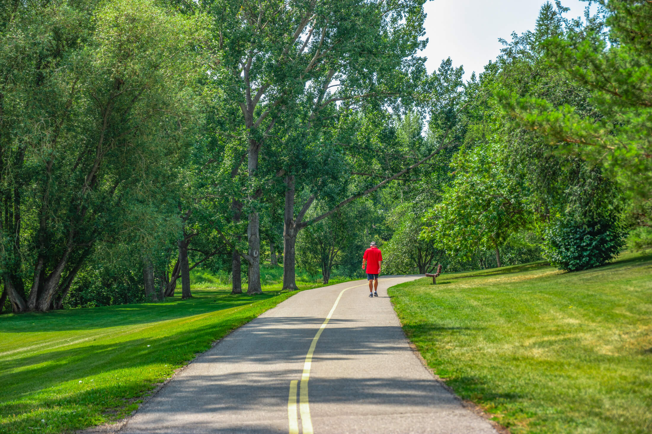 Rosemont Homes for Sale Calgary Rosemont Real Estate