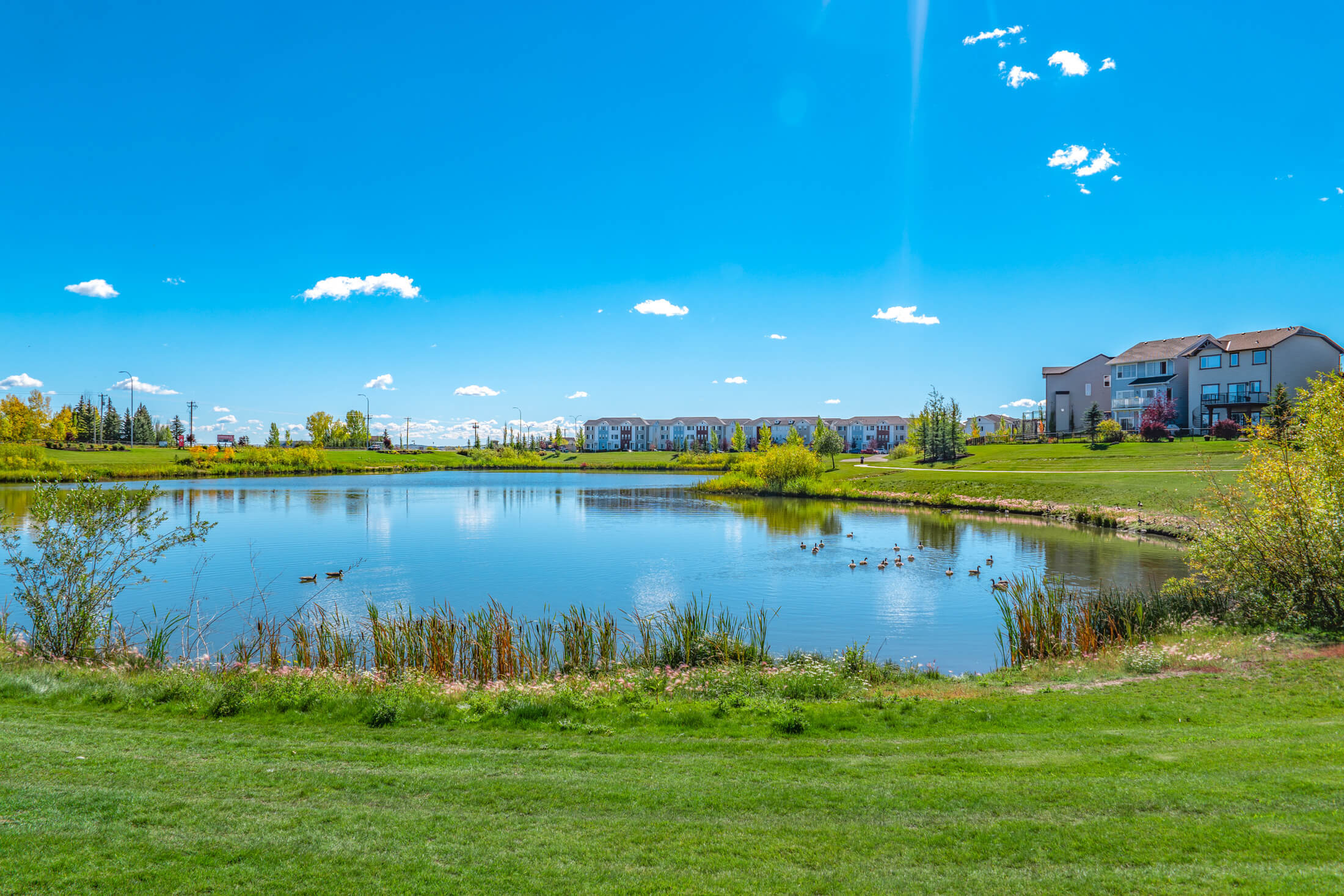 Silverado Homes for Sale Calgary Silverado Real Estate