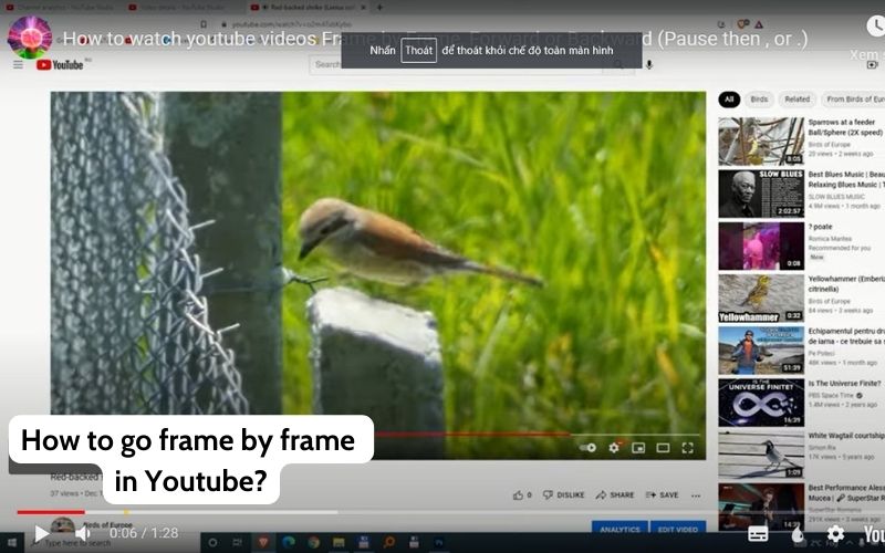 How to go frame by frame in Youtube? Detailed guidance in 2023