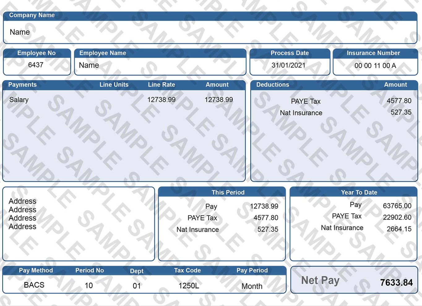 Fake Payslips, Replacement Payslips & Payslip Template Editing