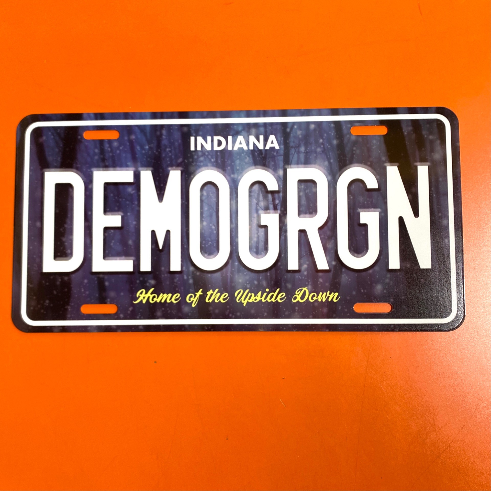 RePop Gifts DEMOGRGN Novelty License Plate