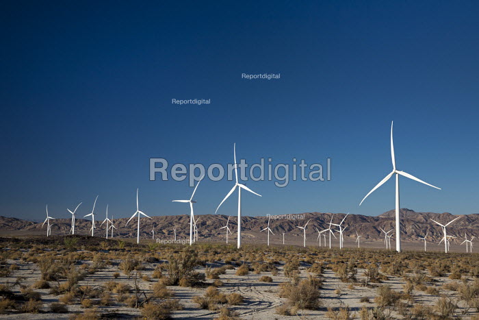 Report digital photojournalism Ocotillo, California The Ocotillo