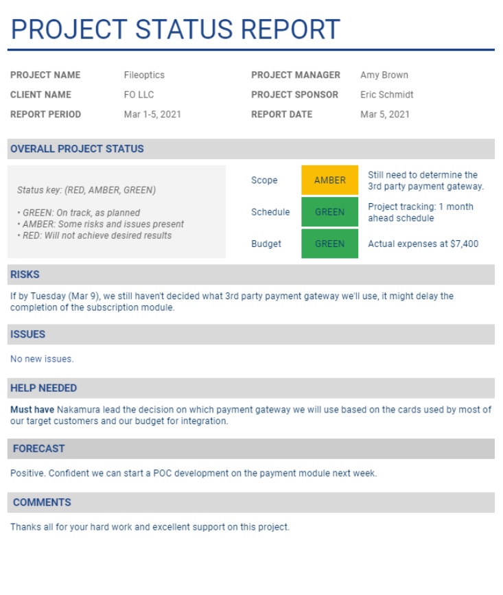ProfessionalStatusReportExample → Free Report Examples