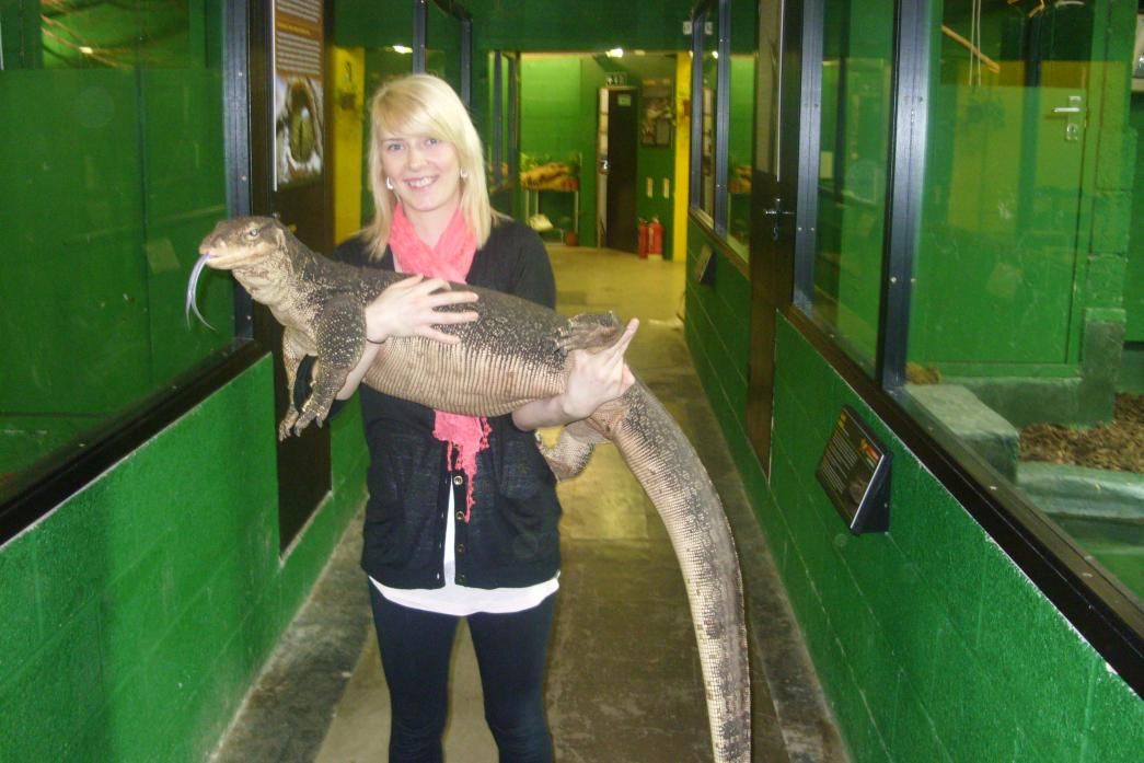 Water Monitor Facts and Pictures