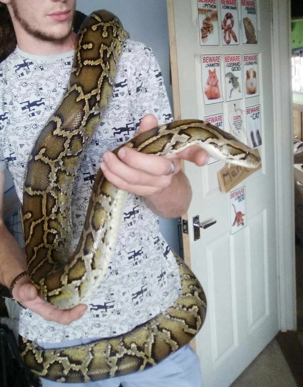 12ft female Burmese Python Reptile Forums