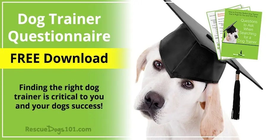 FREE Dog Training Questionnaire Rescue Dogs 101