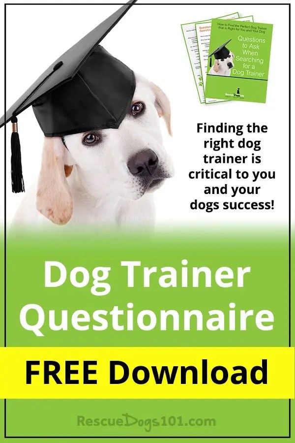 FREE Dog Training Questionnaire Rescue Dogs 101