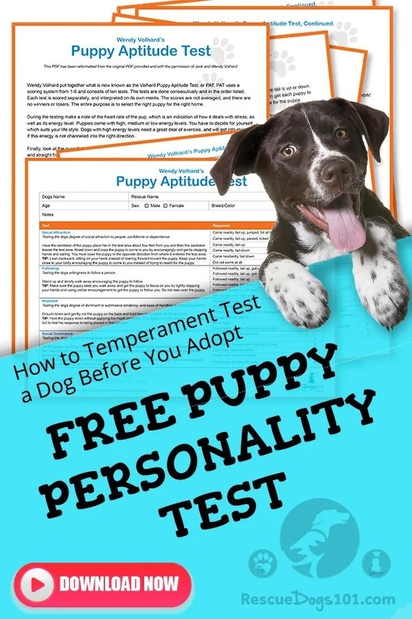 The Volhard’s Puppy Aptitude Test® Rescue Dogs 101