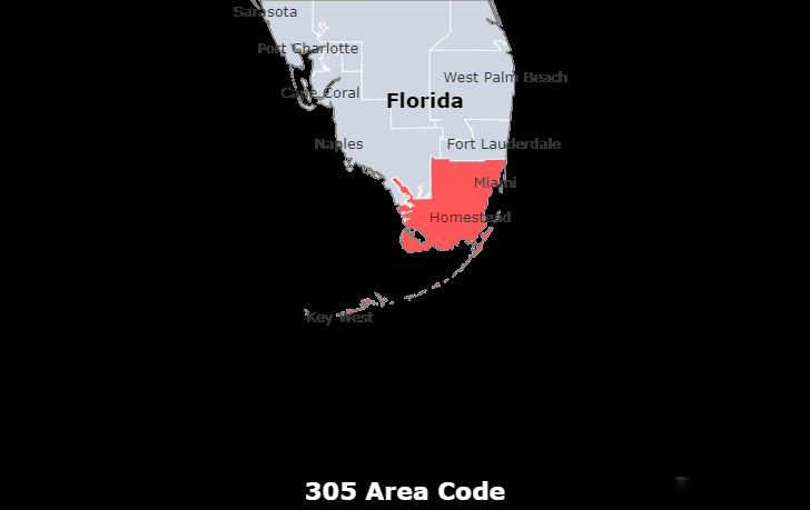 Get a 305 Area Code Number for Local Business in Florida | Easyline