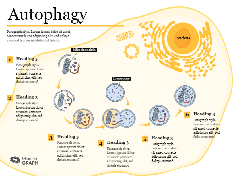 Writing a scientific paper? Check our graphical abstract templates