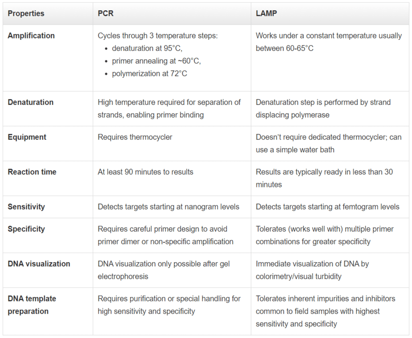 The Long and Short of Isothermal Amplification