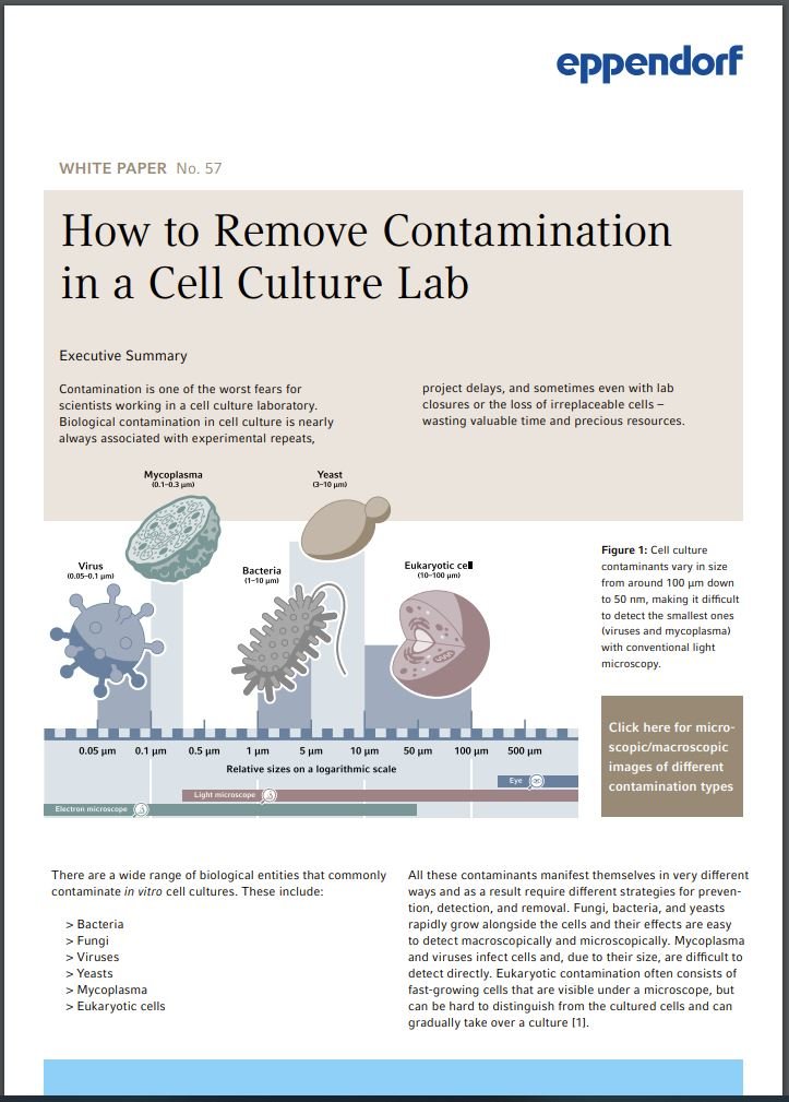 Free Cell Culture Guide How to Remove Contamination in a Cell Culture Lab