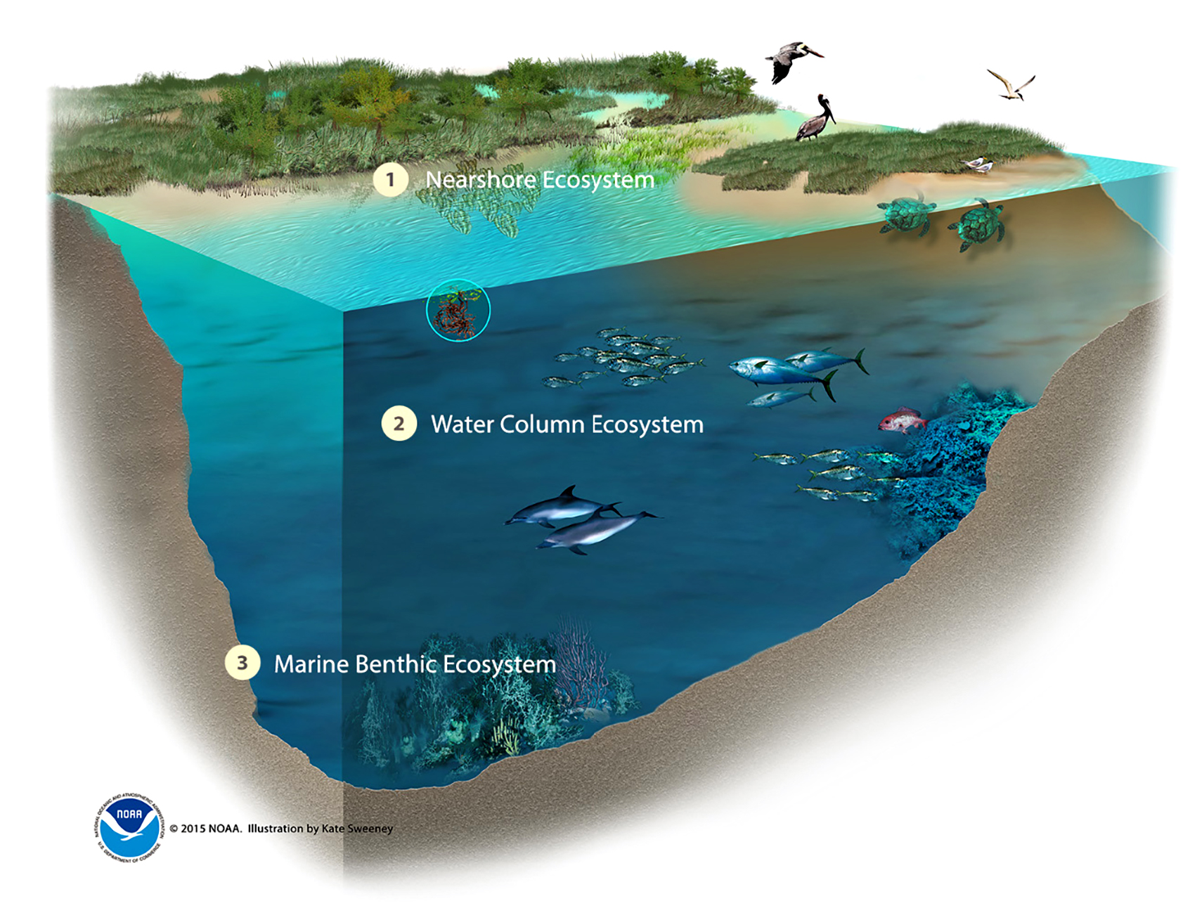 Deepwater Horizon Programmatic Environmental Impact Statement (PEIS