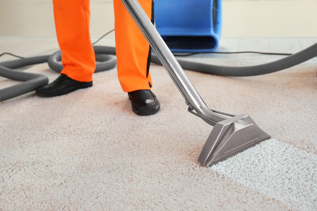 How to Clean Your Carpets and Keep Them Looking Like New » Residence Style