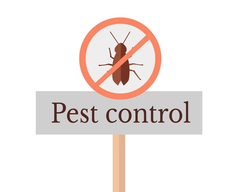 Common Portland Pests and Pest Control Tips » Residence Style
