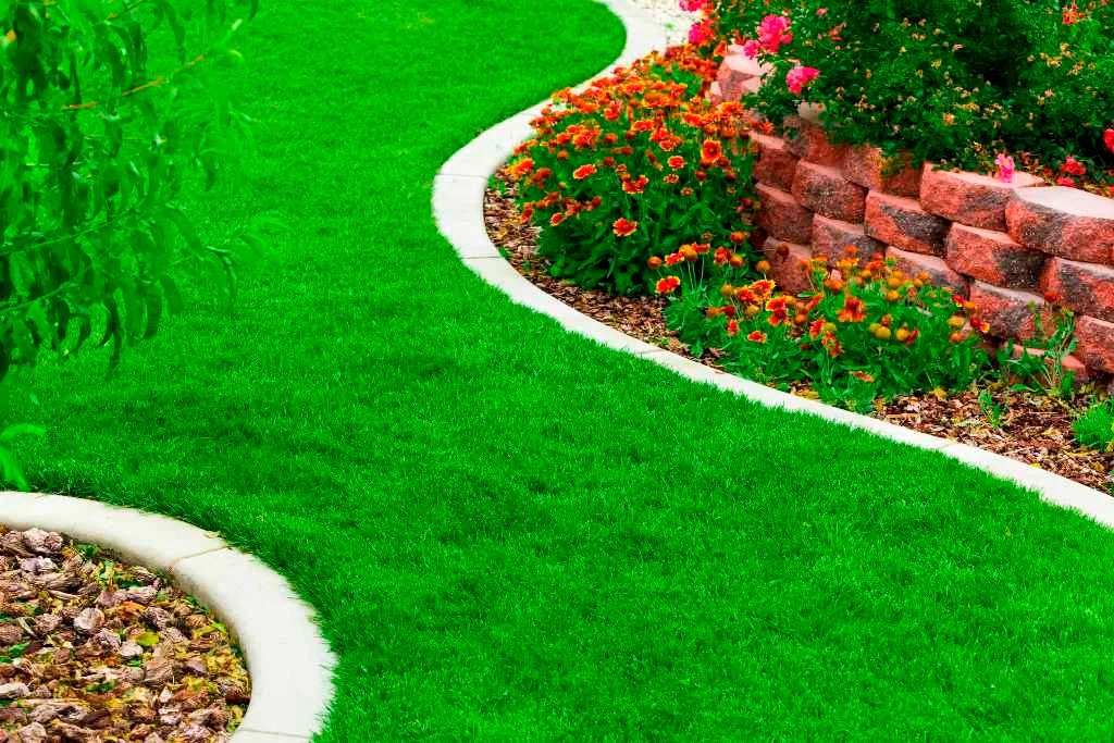 Landscaping How Do I Know If I Need A Landscaper Or Landscape Designer