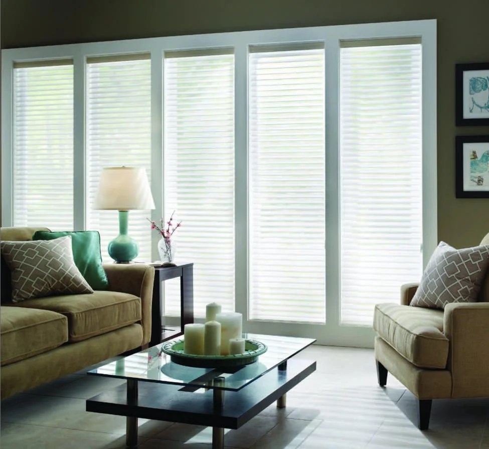 The Best Window Treatments for a Rental PropertyElite Pro Shading