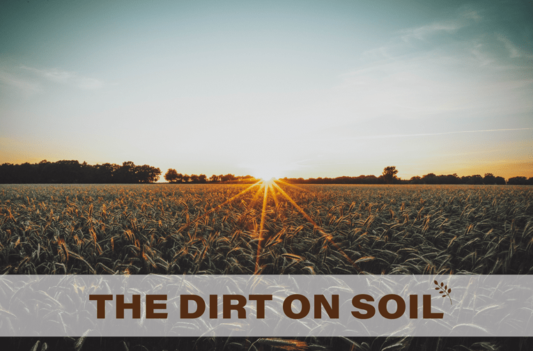 Dirt to Soil Excerpt resilience