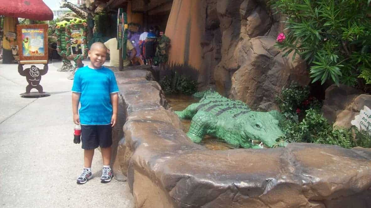 Review Rainforest Cafe at Disney Springs