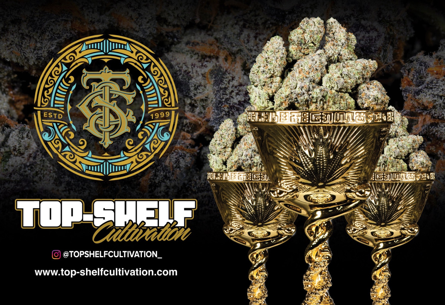 TopShelf Cultivation’s WhoaSiWhoa Strain Wins Two 1st Place “Best