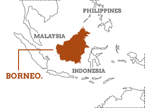Borneo Location On Map Borneo Luxury Travel Guide