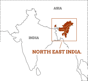 North East India Map Image