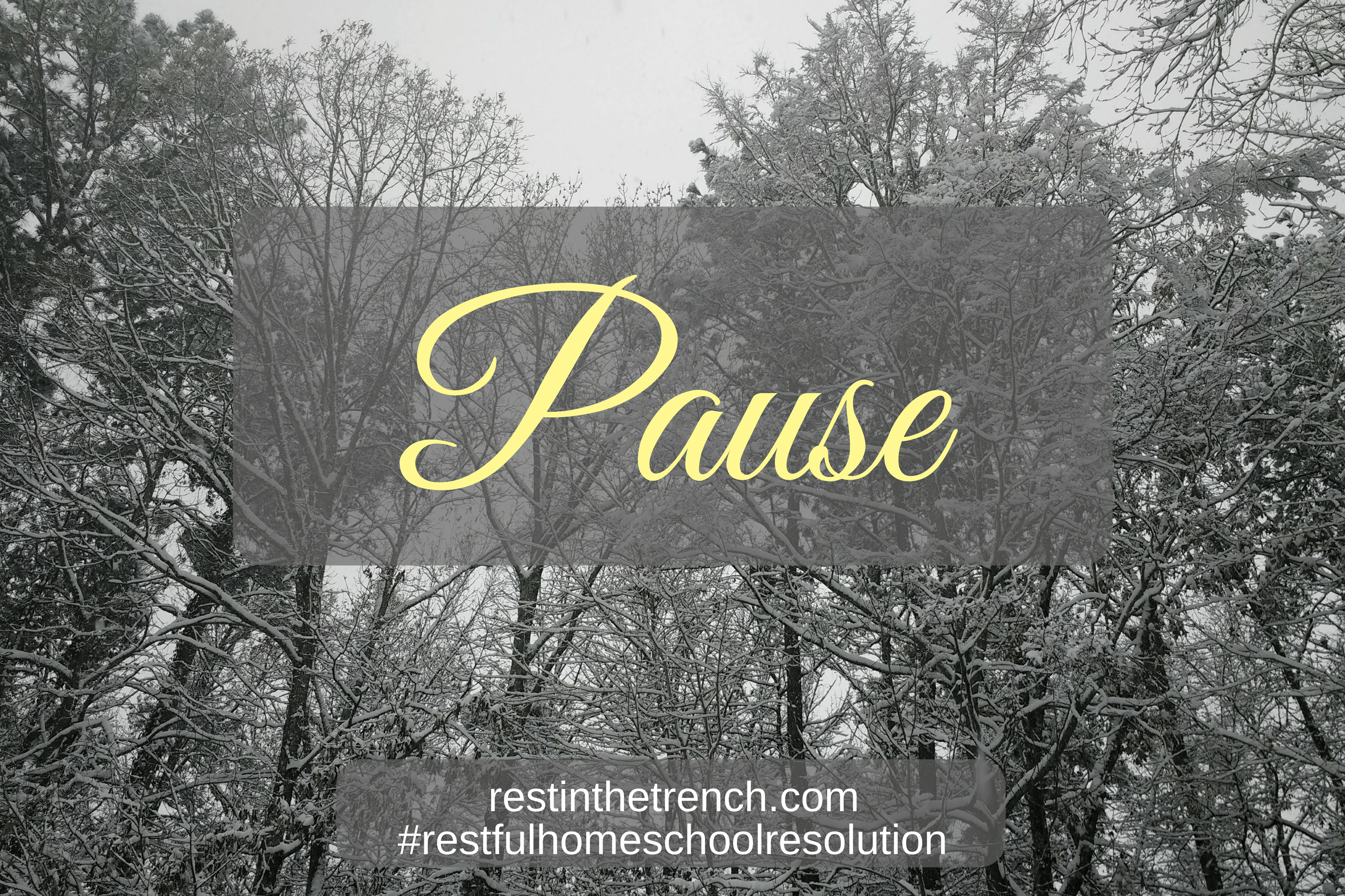 One step in your resolution to seek Jesus first for a restful homeschool.