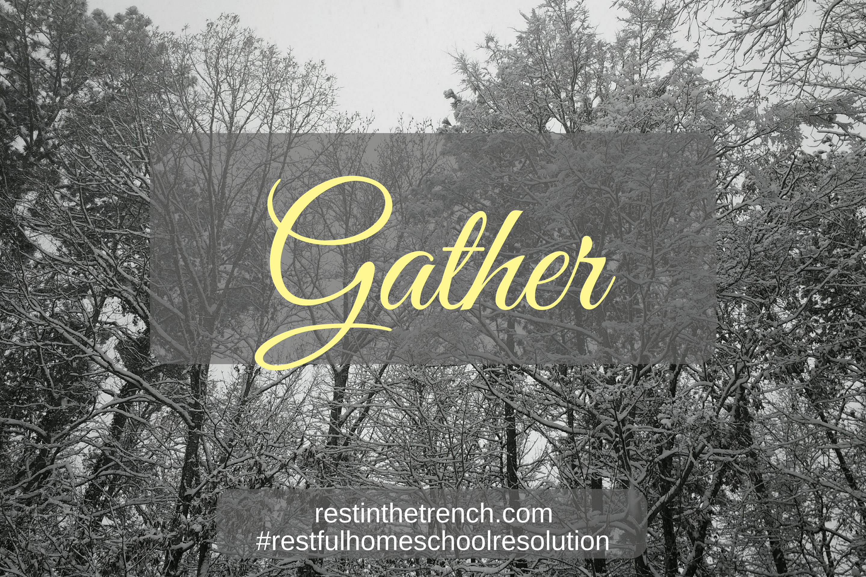 One step in your commitment to seek Jesus first for a restful homeschool.