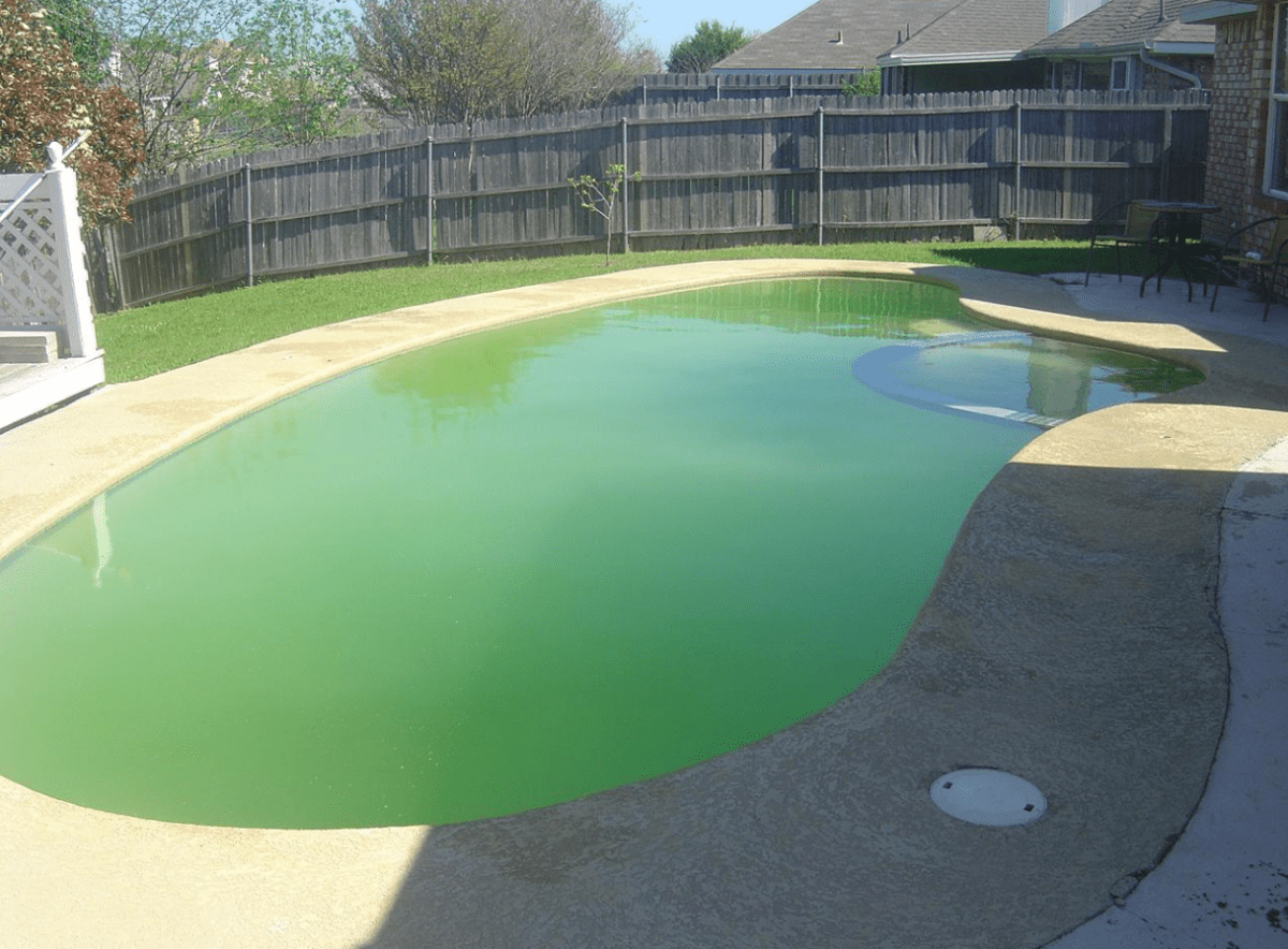 Cool Is It Safe To Swim In An Algae Pool Ideas