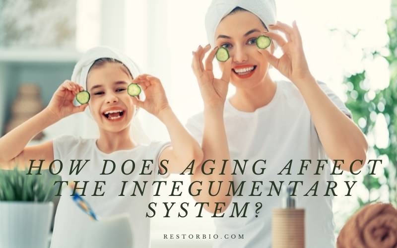 How Does Aging Affect The Integumentary System? 2021 resTORbio