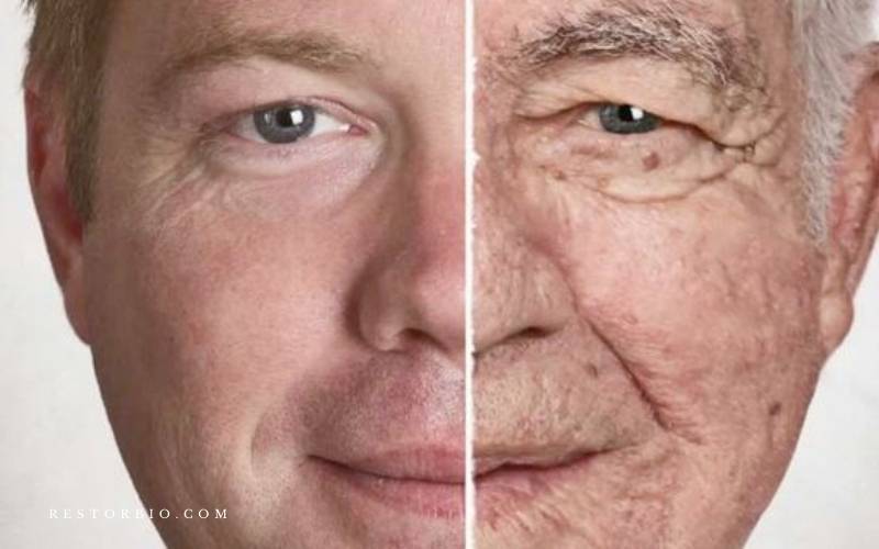 How Does Aging Affect The Integumentary System? 2021 resTORbio
