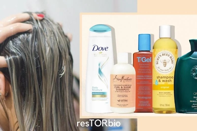 Shampoo Vs Body Wash 2022 What Are Differences?