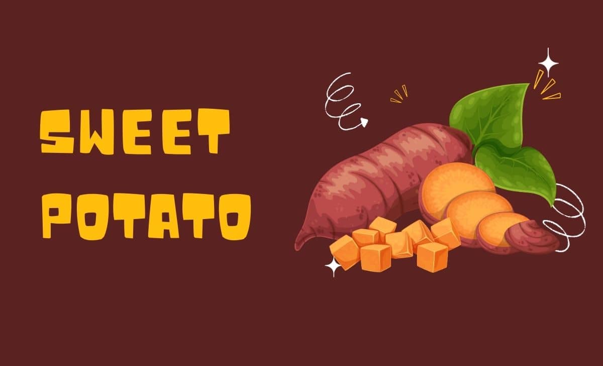 Sweet Potatoes Nutrition Facts and Health Benefits Resurchify