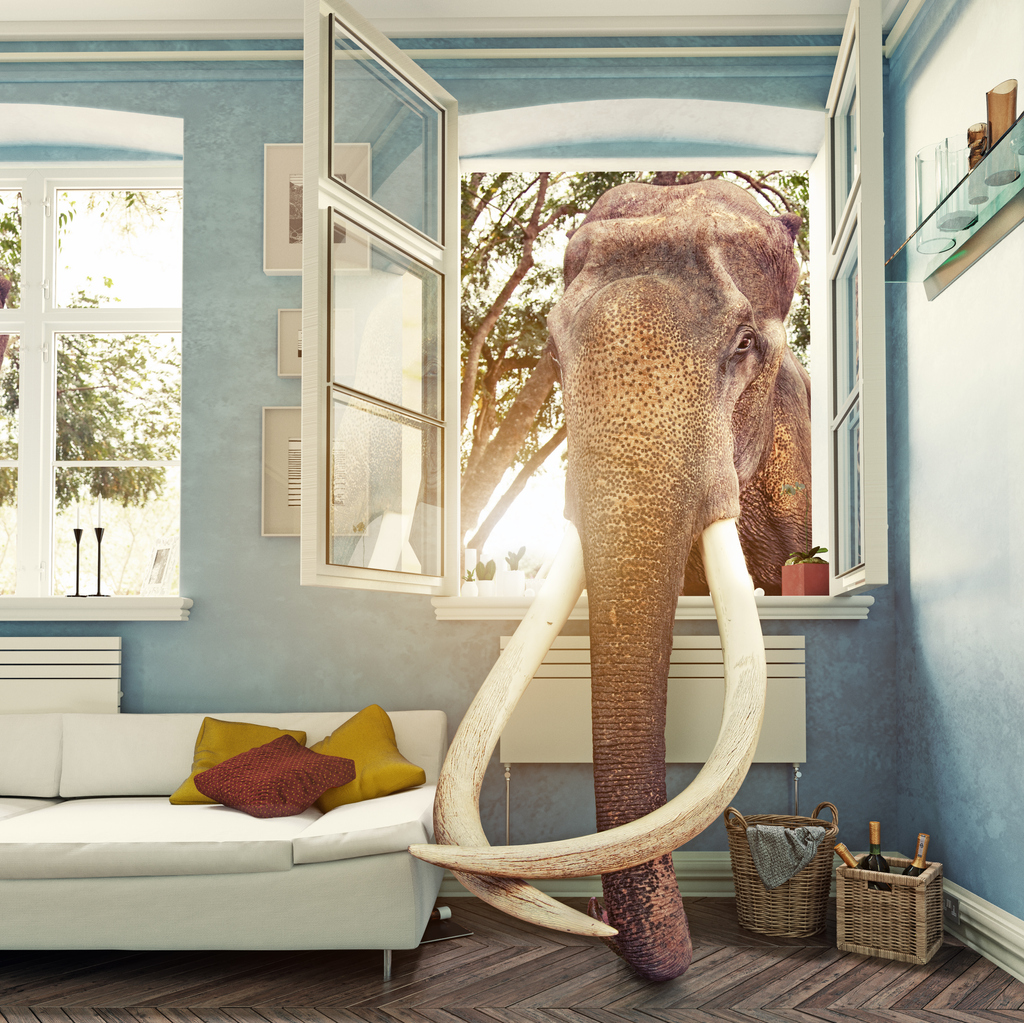 Retailers Elephant in the Room It's all About us