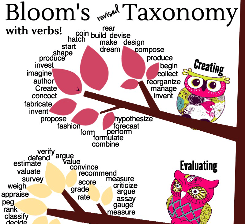 Download This Adorable Owls Revised Bloom's Taxonomy Poster! reThink ELA