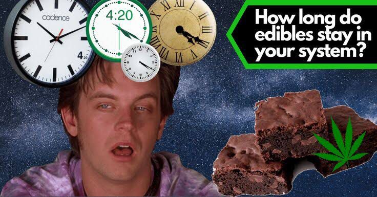 How Long Does Edibles Stay In Your System The Retreat of How Long Does Edibles Stay In Your System The Retreat of