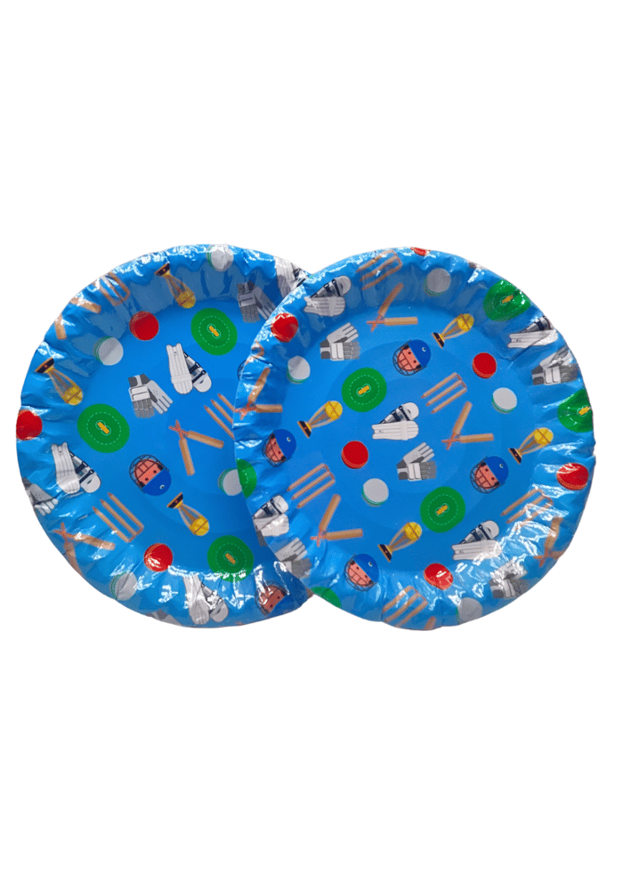 Pack of 10 Cricket theme Paper plates for Birthday PartySALE